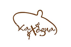 partner logo 4